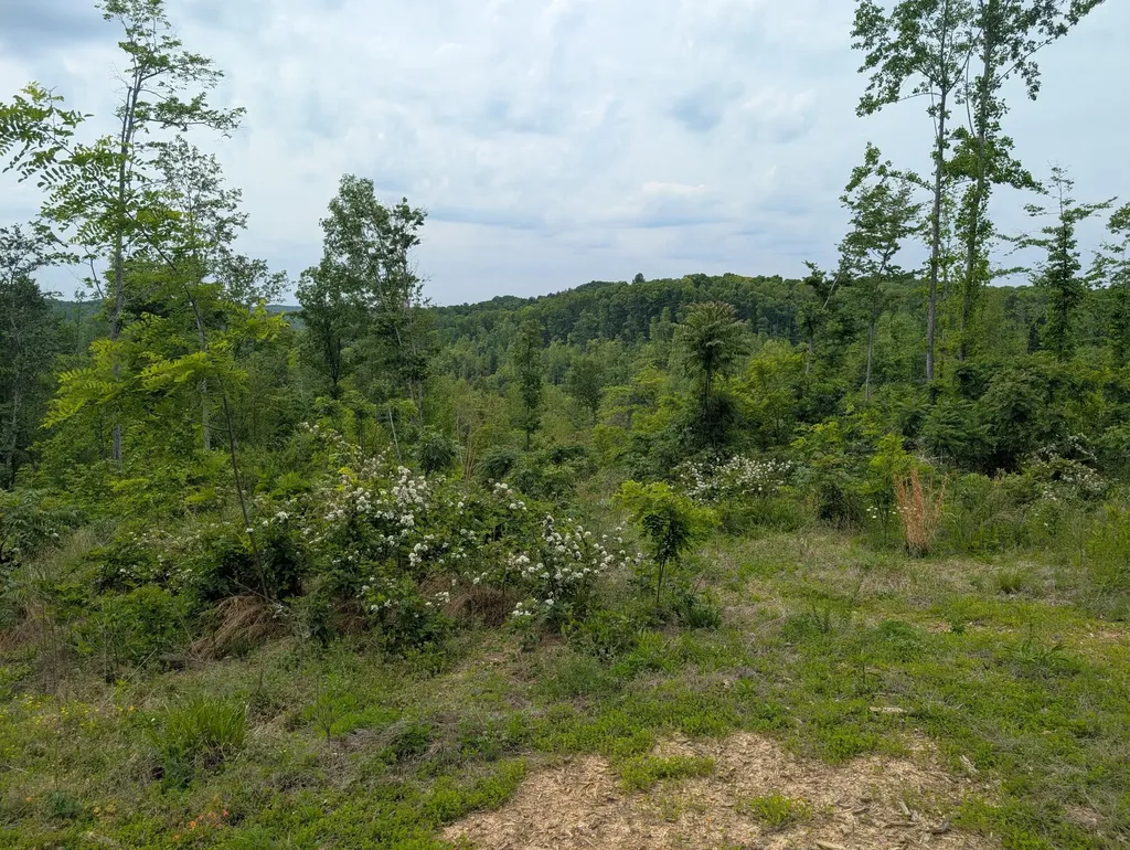 0 New Hope Tower Road Mt Vernon KY 40456