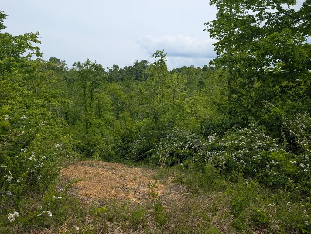 0 New Hope Tower Road Mt Vernon KY 40456
