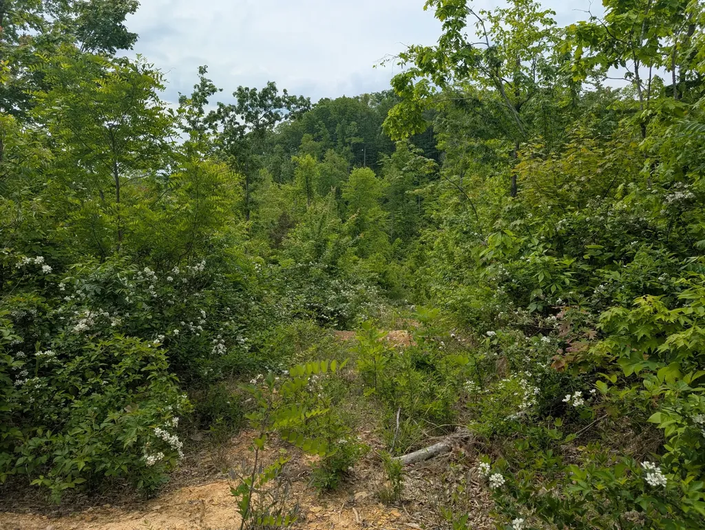 0 New Hope Tower Road Mt Vernon KY 40456