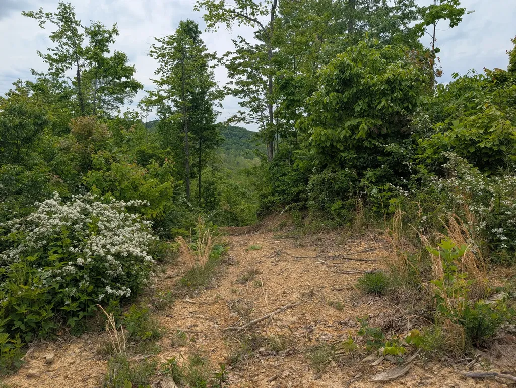 0 New Hope Tower Road Mt Vernon KY 40456