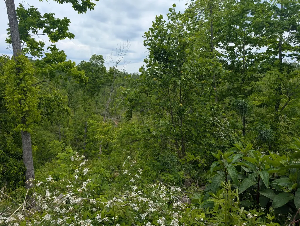 0 New Hope Tower Road Mt Vernon KY 40456