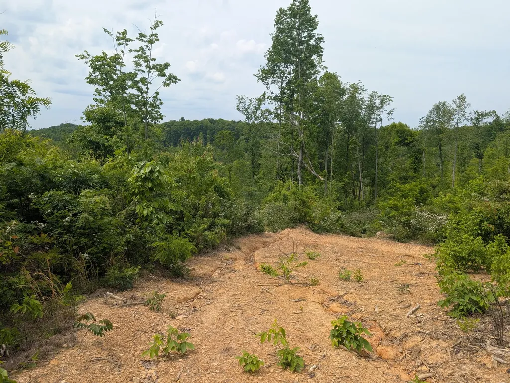 0 New Hope Tower Road Mt Vernon KY 40456