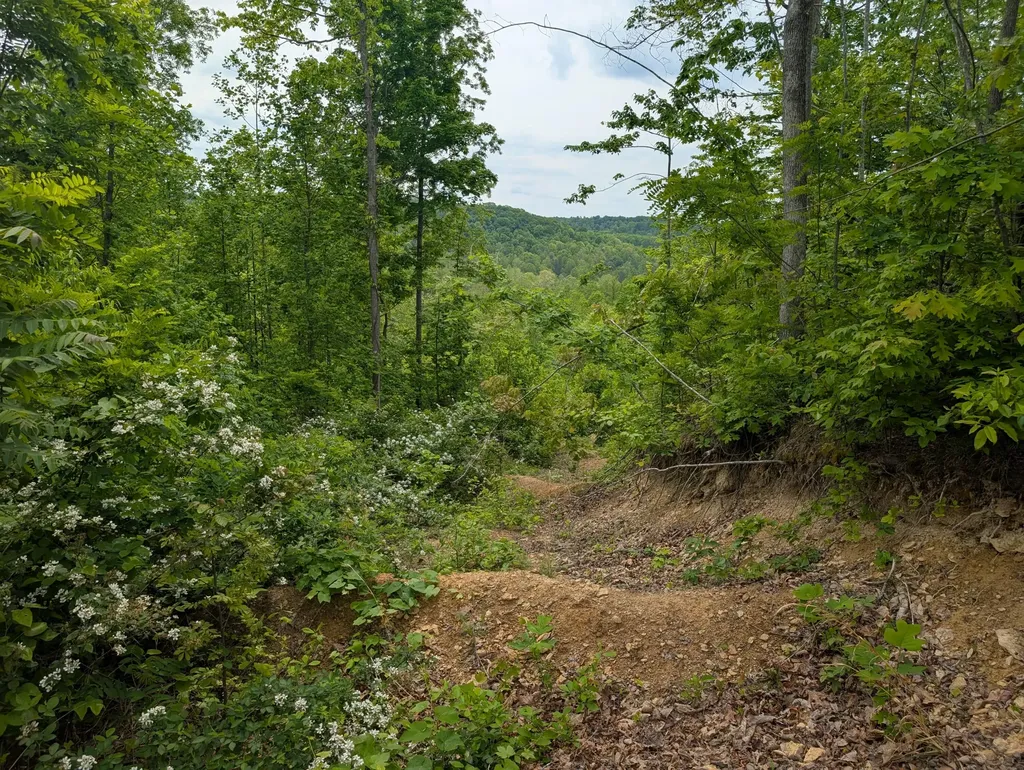 0 New Hope Tower Road Mt Vernon KY 40456