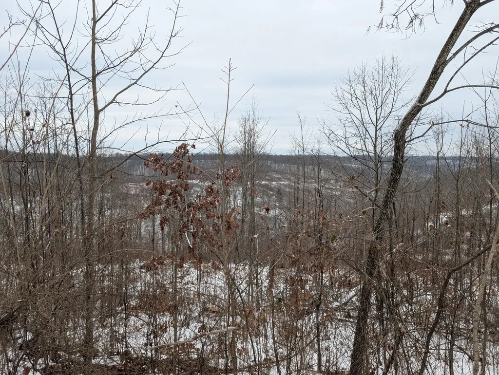 0 New Hope Tower Road Mt Vernon KY 40456