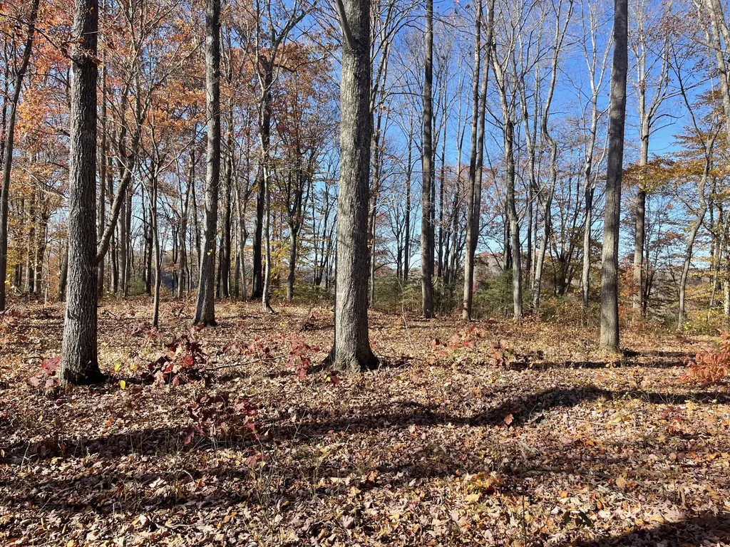 Lot 88 Stillwater Russell Springs KY 42642