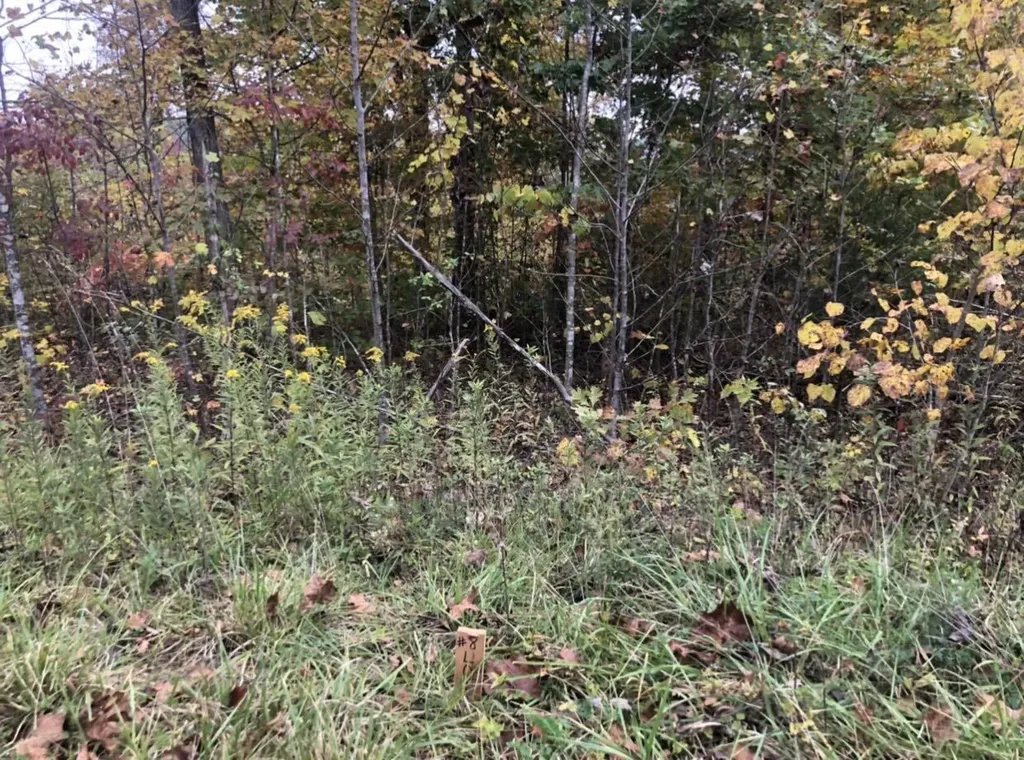 Lot #8 Buck Creek Circle Somerset KY 42501