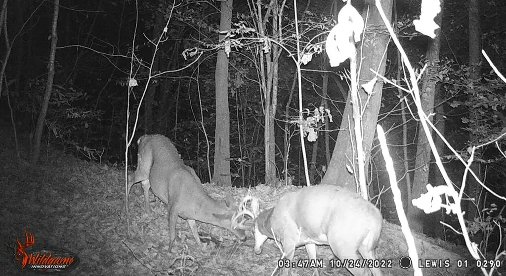 0 Aa Highway Vanceburg KY 41179