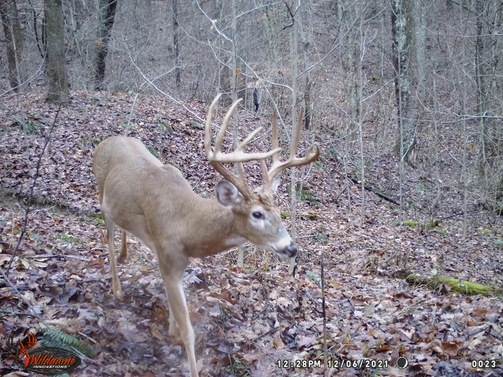 0 Aa Highway Vanceburg KY 41179