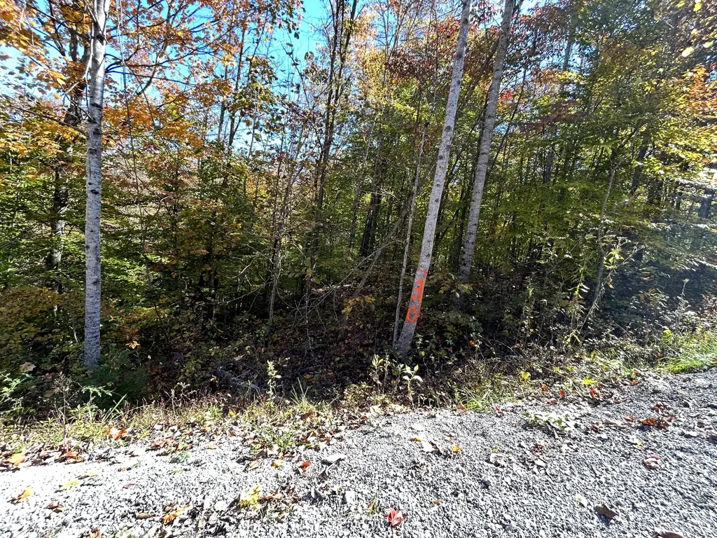 Lot# 1 Buck Creek Circle Somerset KY 42501