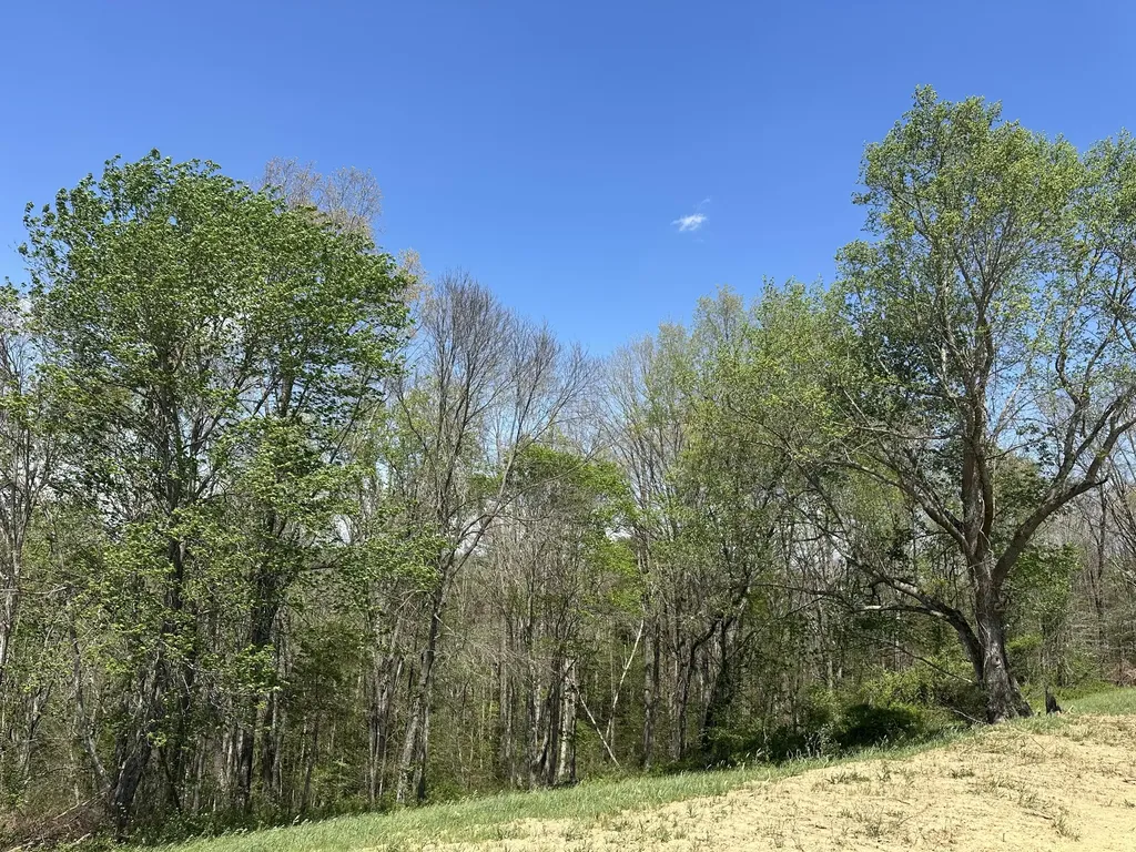 Lot 2 Baldwin Road Mckee KY 40447