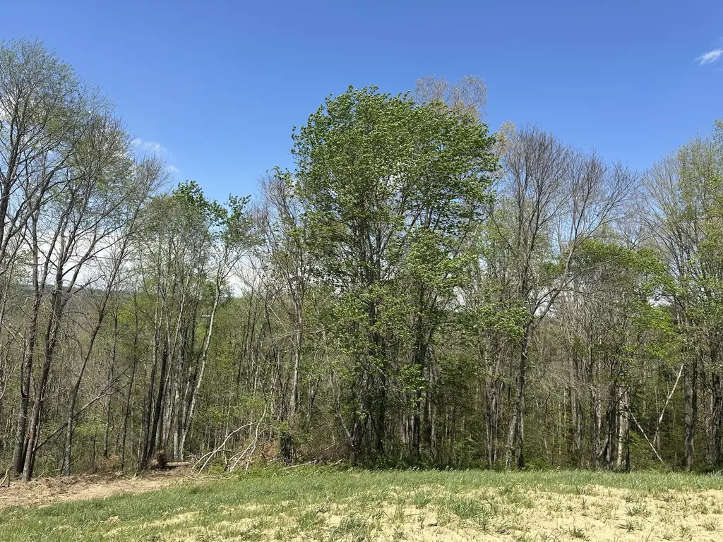 Lot 2 Baldwin Road Mckee KY 40447