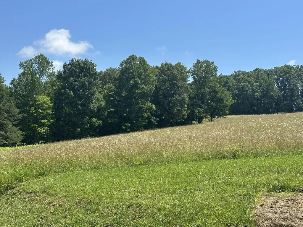 Lot 2 Baldwin Road Mckee KY 40447