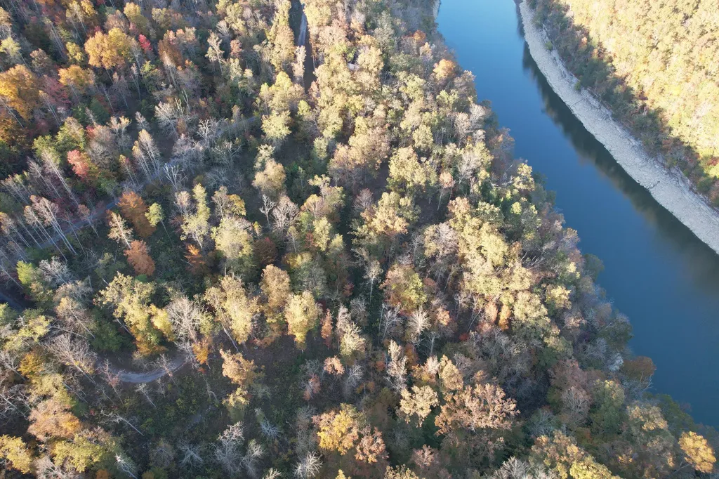 LOT#21 Buck Creek Circle Somerset KY 42501