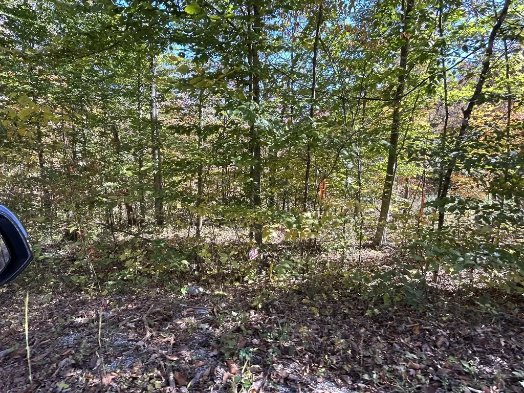 Lot # 5 Buck Creek Circle Somerset KY 42501