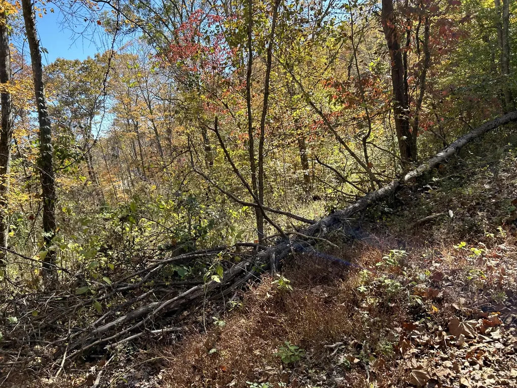 Lot # 5 Buck Creek Circle Somerset KY 42501