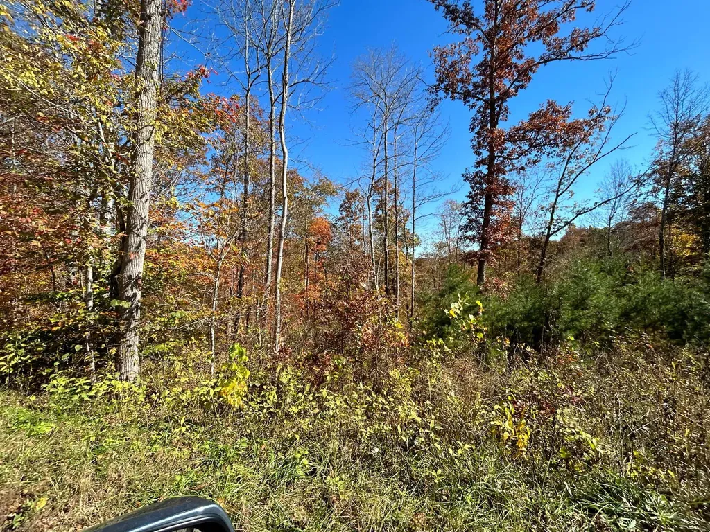 Lot # 7 Buck Creek Circle Somerset KY 42501