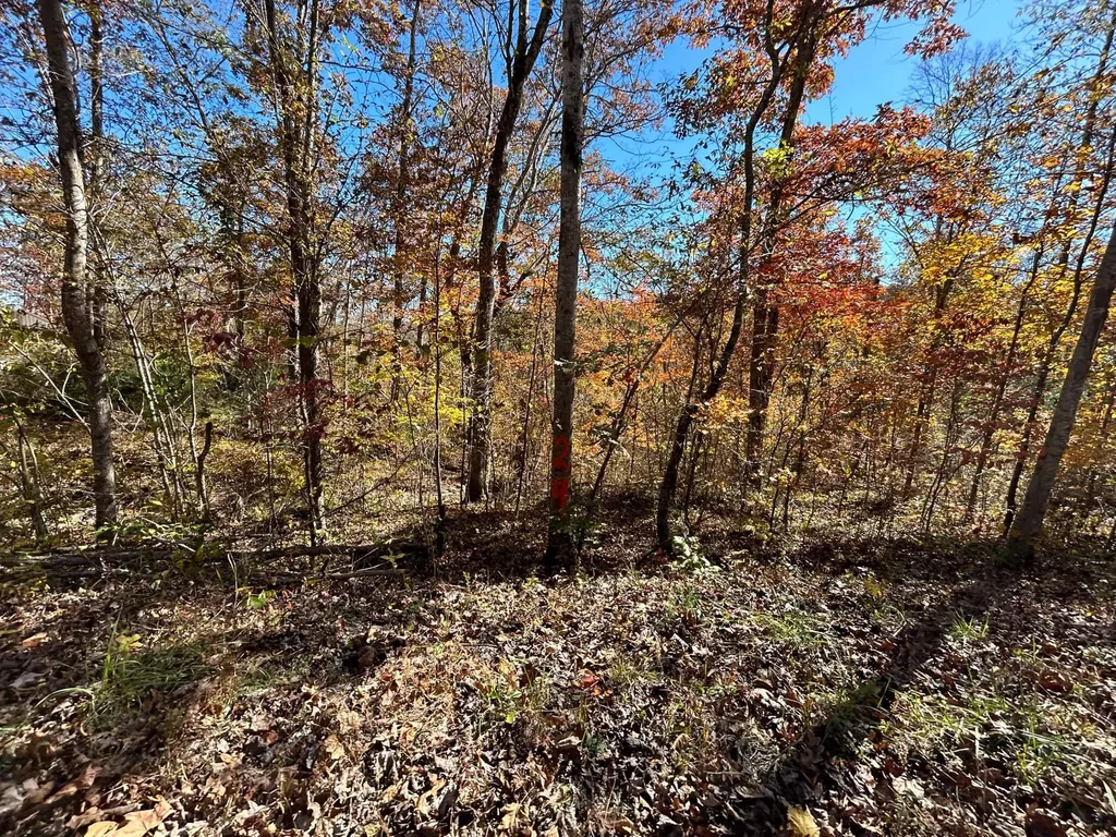 Lot # 7 Buck Creek Circle Somerset KY 42501