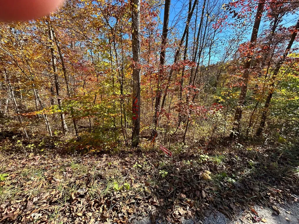 Lot # 7 Buck Creek Circle Somerset KY 42501