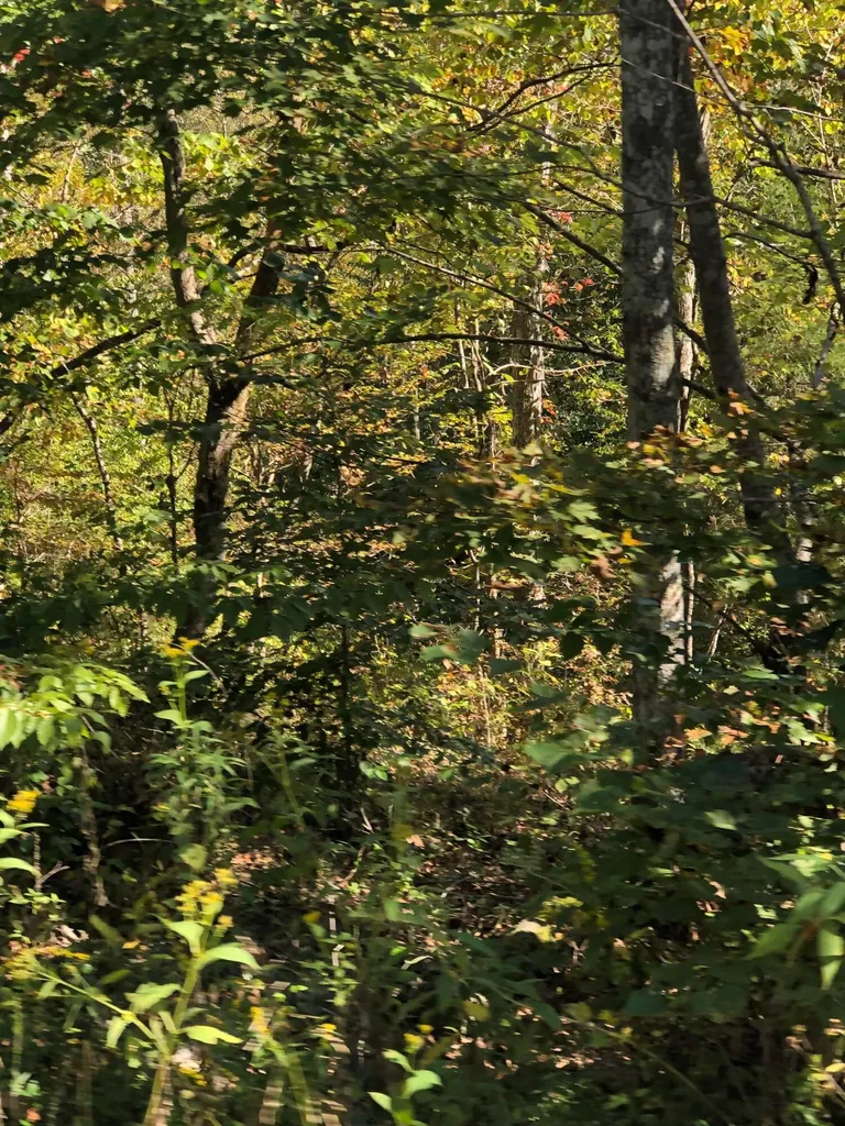 Lot #18 Buck Creek Circle Somerset KY 42501
