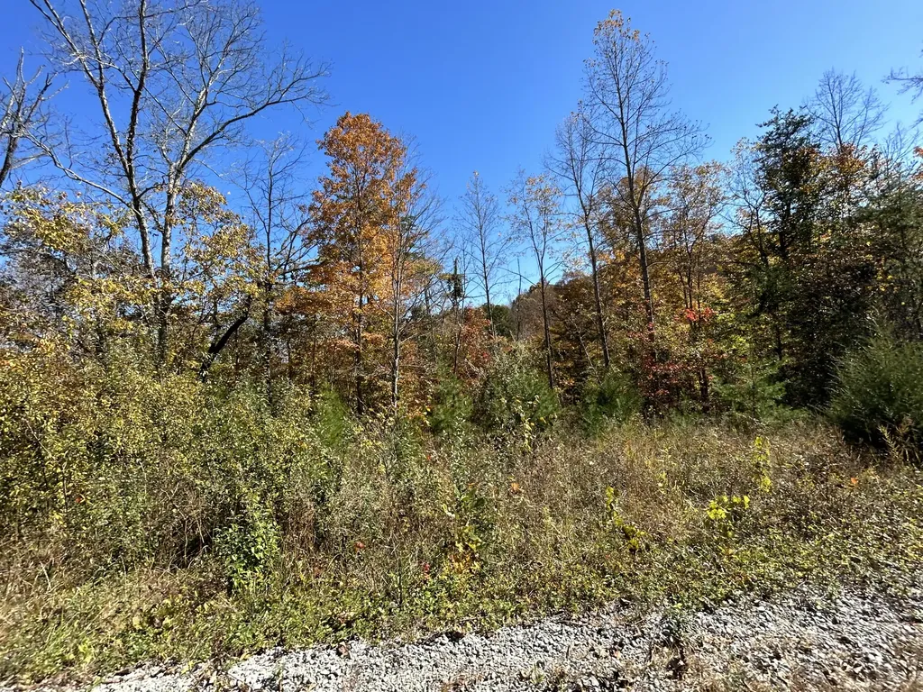 Lot #4 Buck Creek Circle Somerset KY 42501