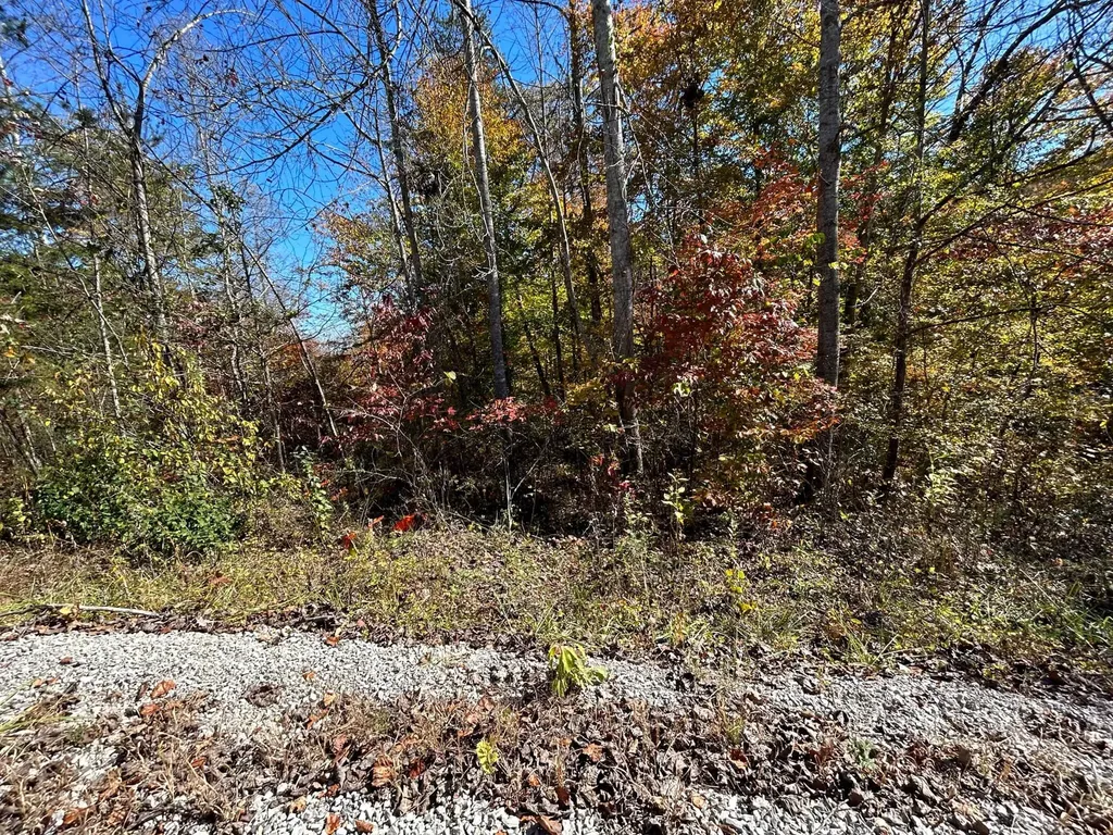 Lot #3 Buck Creek Circle Somerset KY 42503