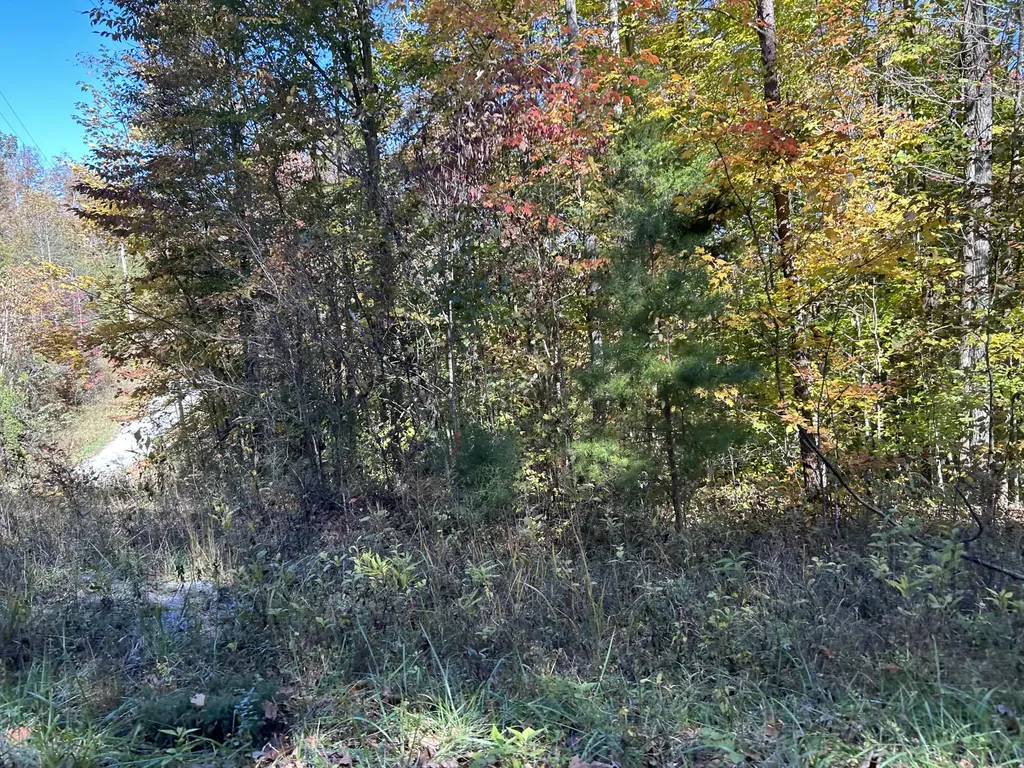 Lot #3 Buck Creek Circle Somerset KY 42503