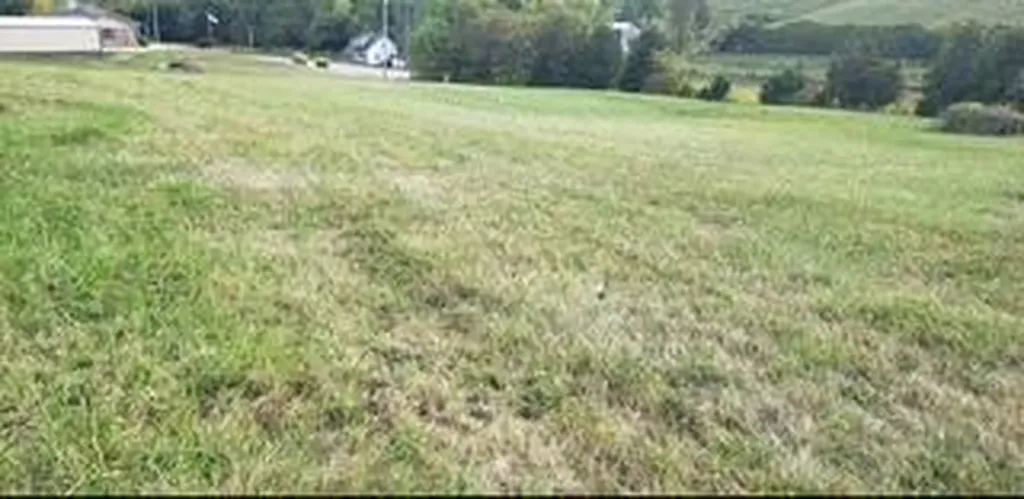 0 Lynn Lane Falmouth KY 41040