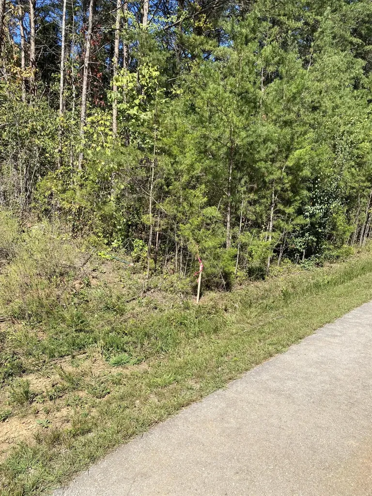 20B Lake Forest Reserve Drive Bronston KY 42518