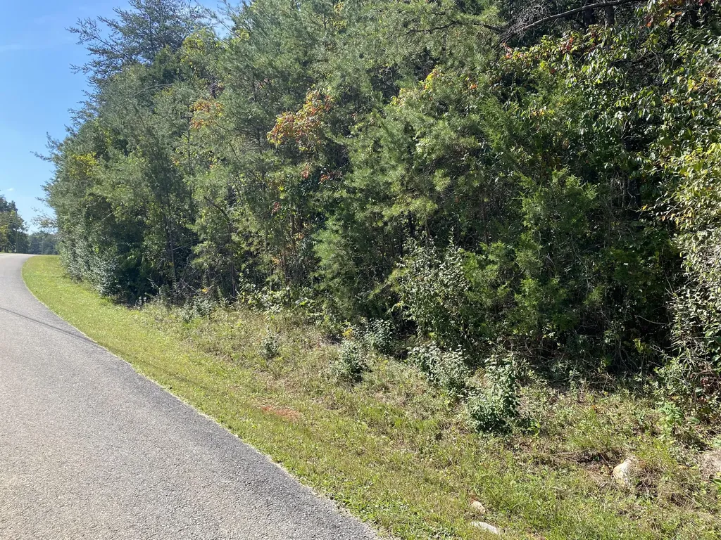 20B Lake Forest Reserve Drive Bronston KY 42518