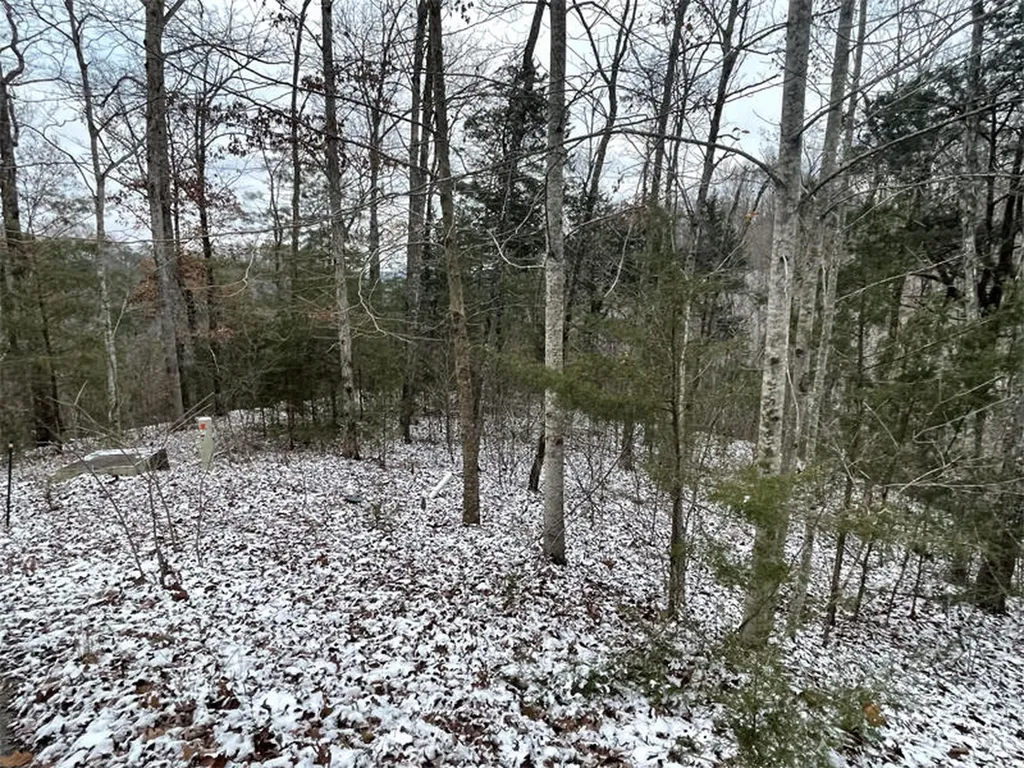 Lot 74 Sandstone Point Monticello KY 42633
