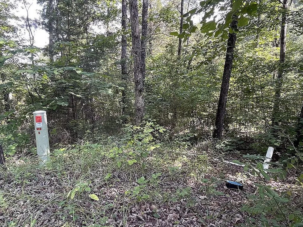 Lot 74 Sandstone Point Monticello KY 42633