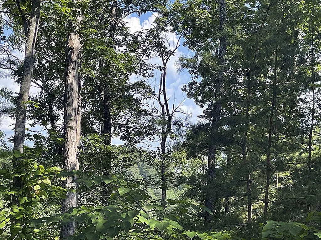 Lot 74 Sandstone Point Monticello KY 42633