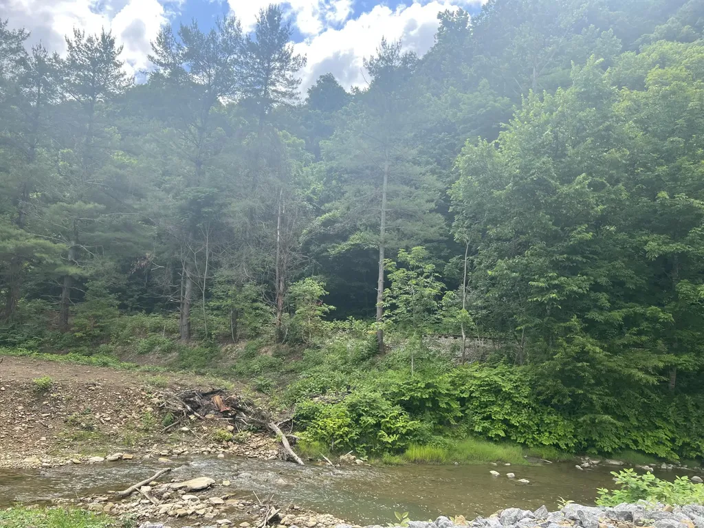 0000 Walnut Lane Harlan KY 40831