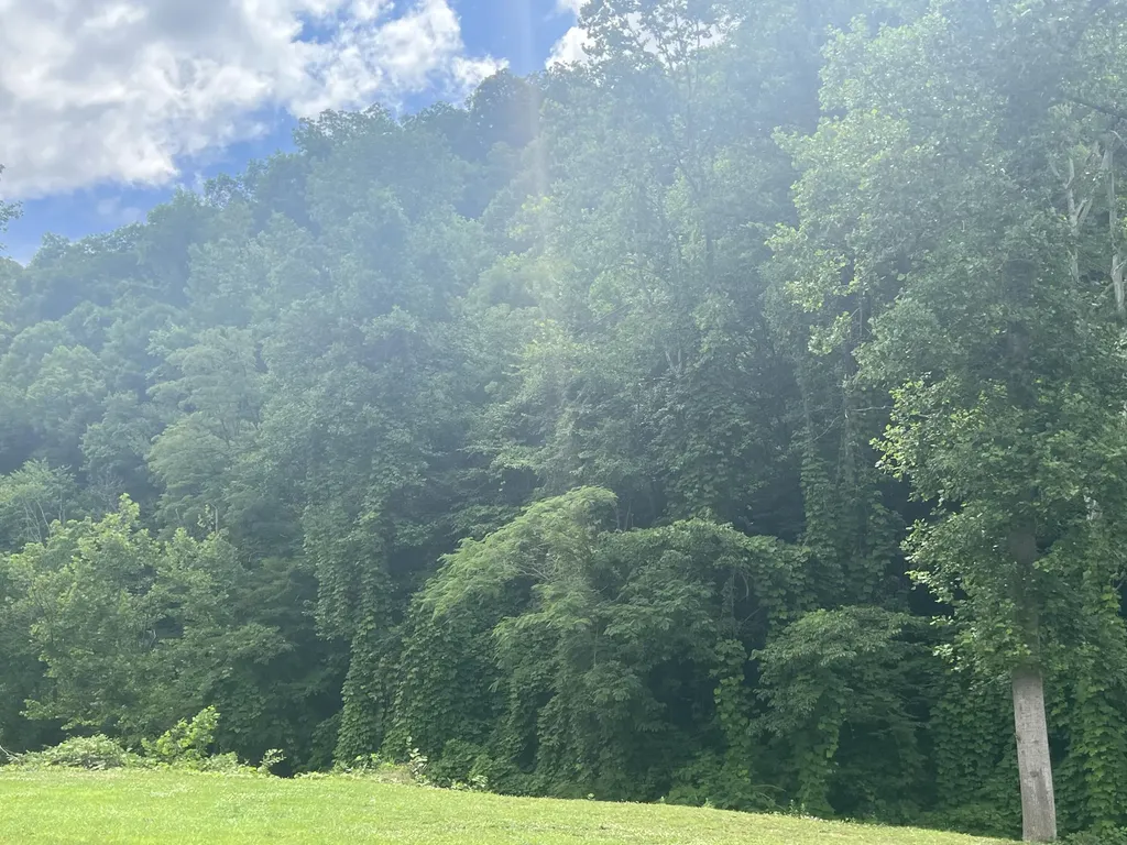 0000 Walnut Lane Harlan KY 40831