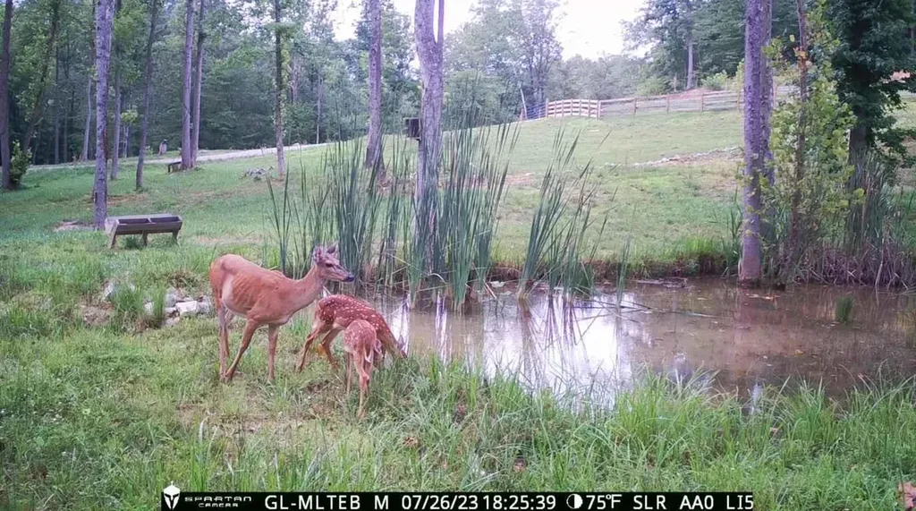 295 Falls Creek Way Somerset KY 42503