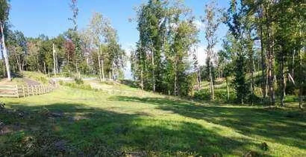 295 Falls Creek Way Somerset KY 42503