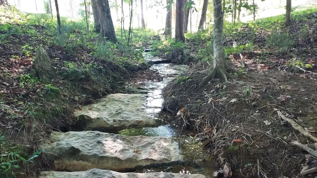 295 Falls Creek Way Somerset KY 42503