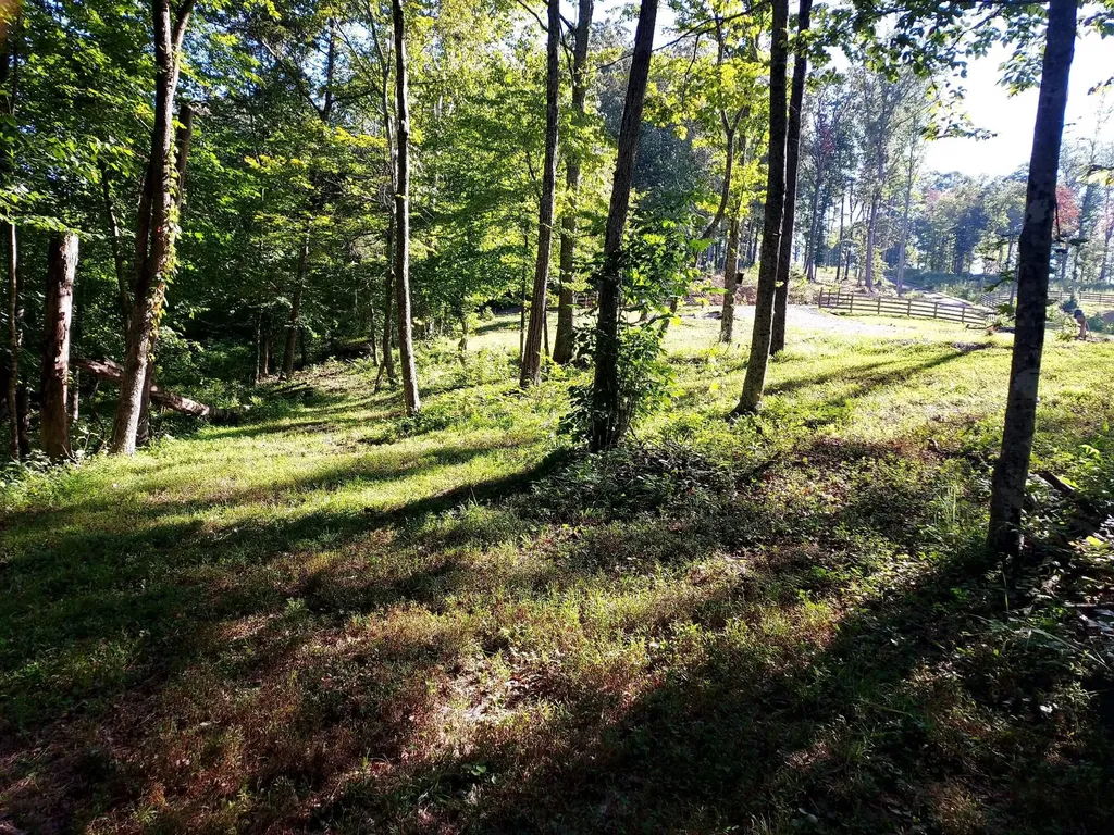 295 Falls Creek Way Somerset KY 42503