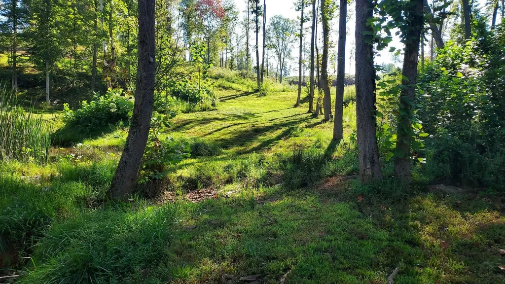 295 Falls Creek Way Somerset KY 42503