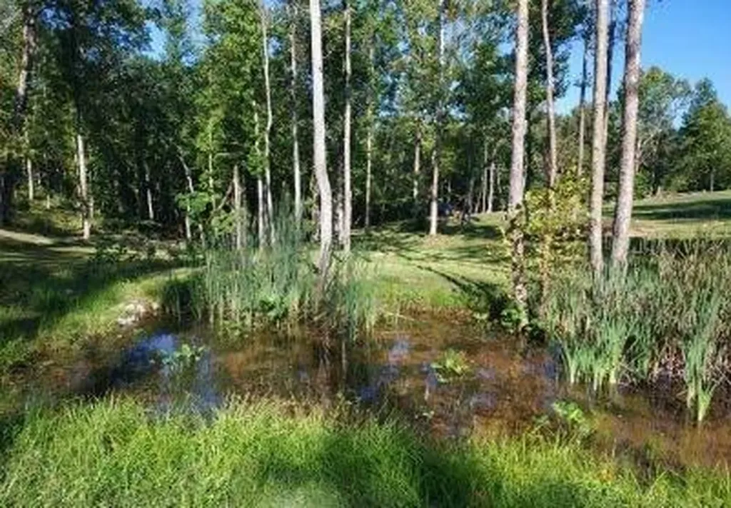 295 Falls Creek Way Somerset KY 42503
