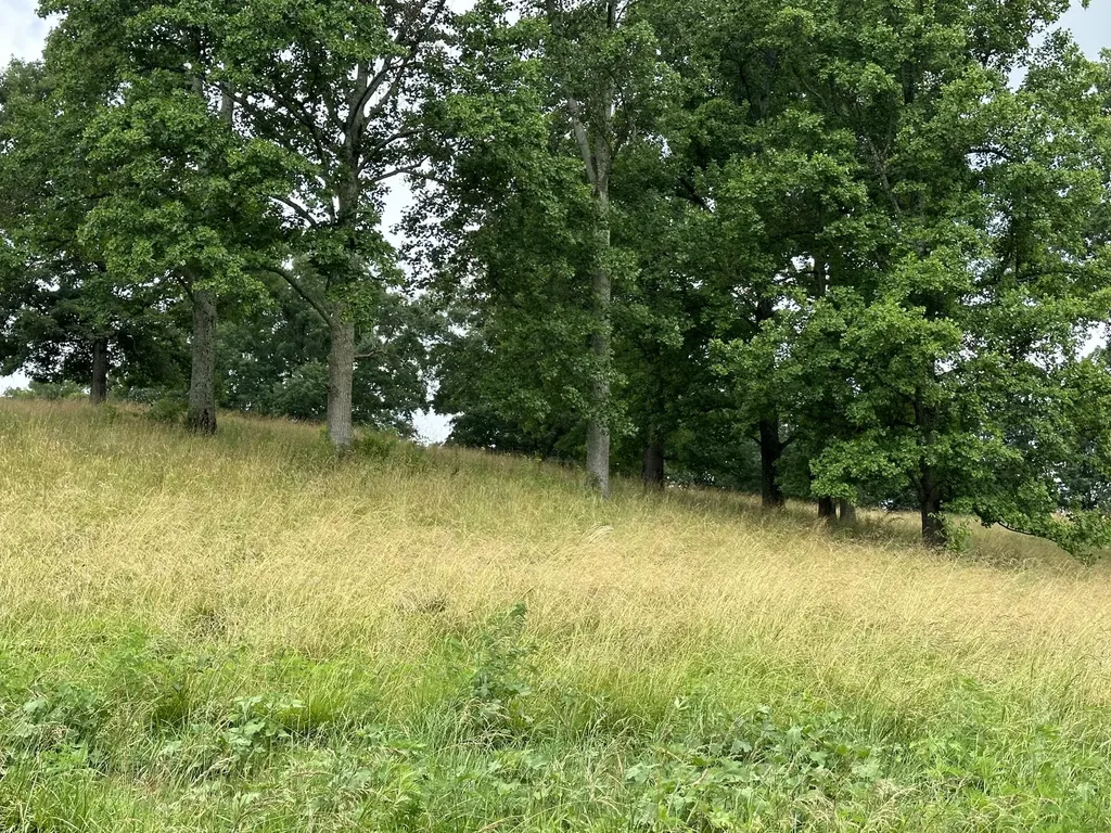 Tract 24 Hawk Landing Road London KY 40741