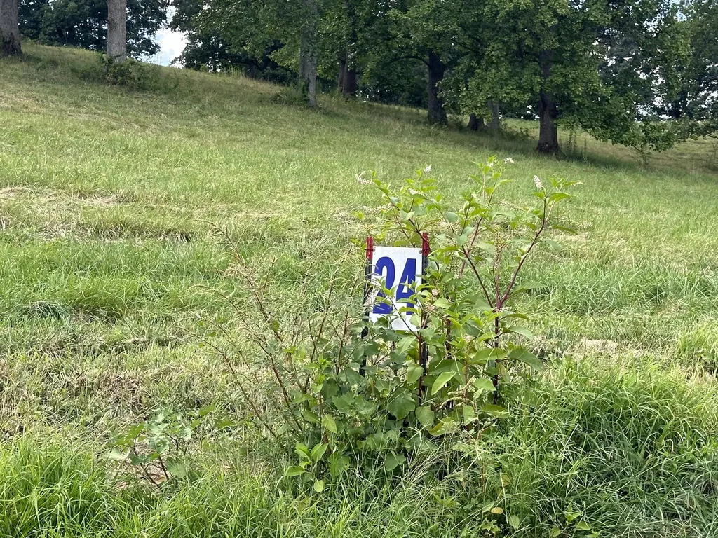 Tract 24 Hawk Landing Road London KY 40741