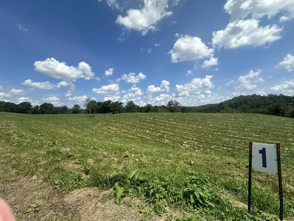 Tract 1 Pittsburg Landing Road London KY 40741