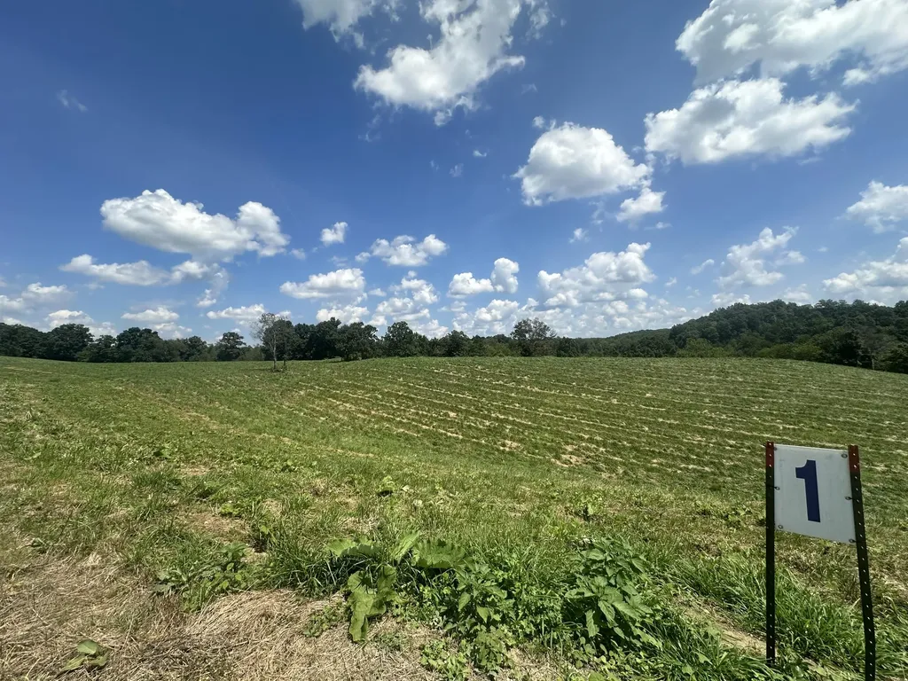 Tract 1 Pittsburg Landing Road London KY 40741
