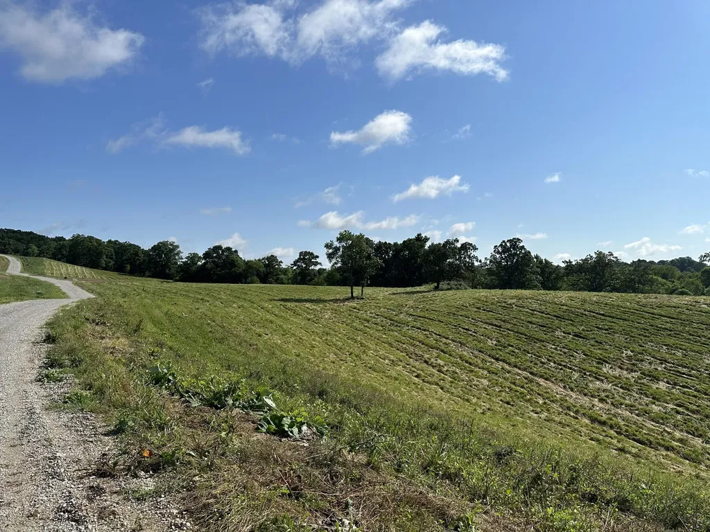 Tract 1 Pittsburg Landing Road London KY 40741