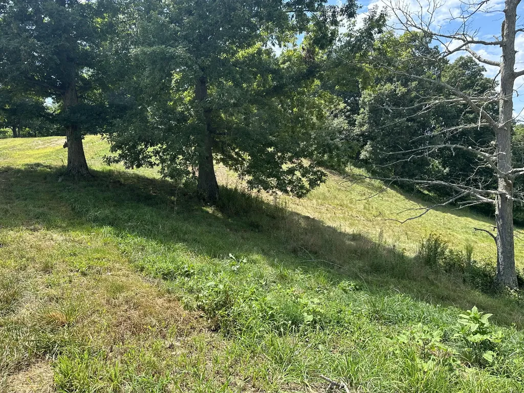 Tract 16 Pittsburg Landing Road London KY 40741