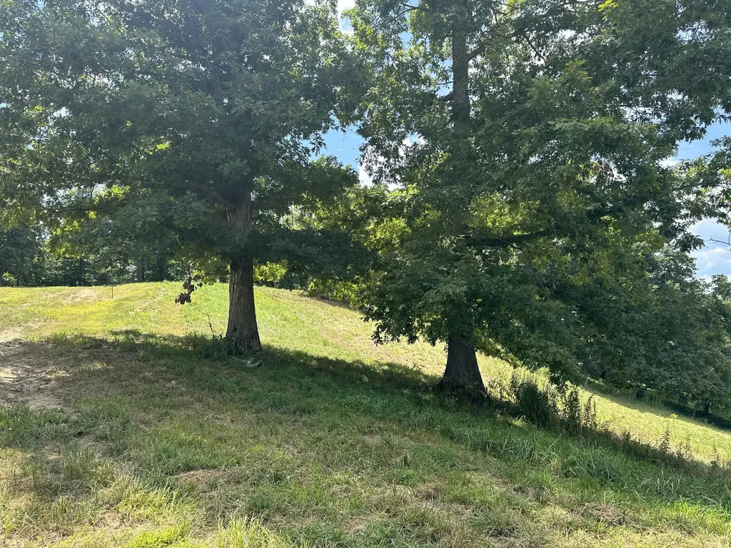 Tract 16 Pittsburg Landing Road London KY 40741