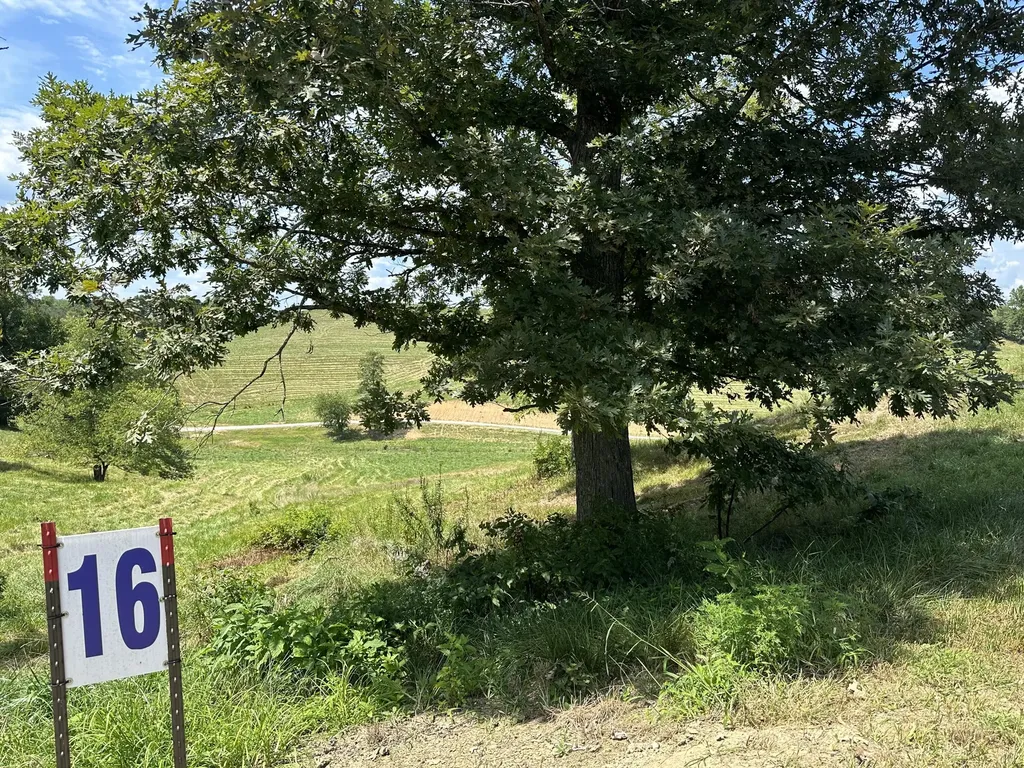 Tract 16 Pittsburg Landing Road London KY 40741