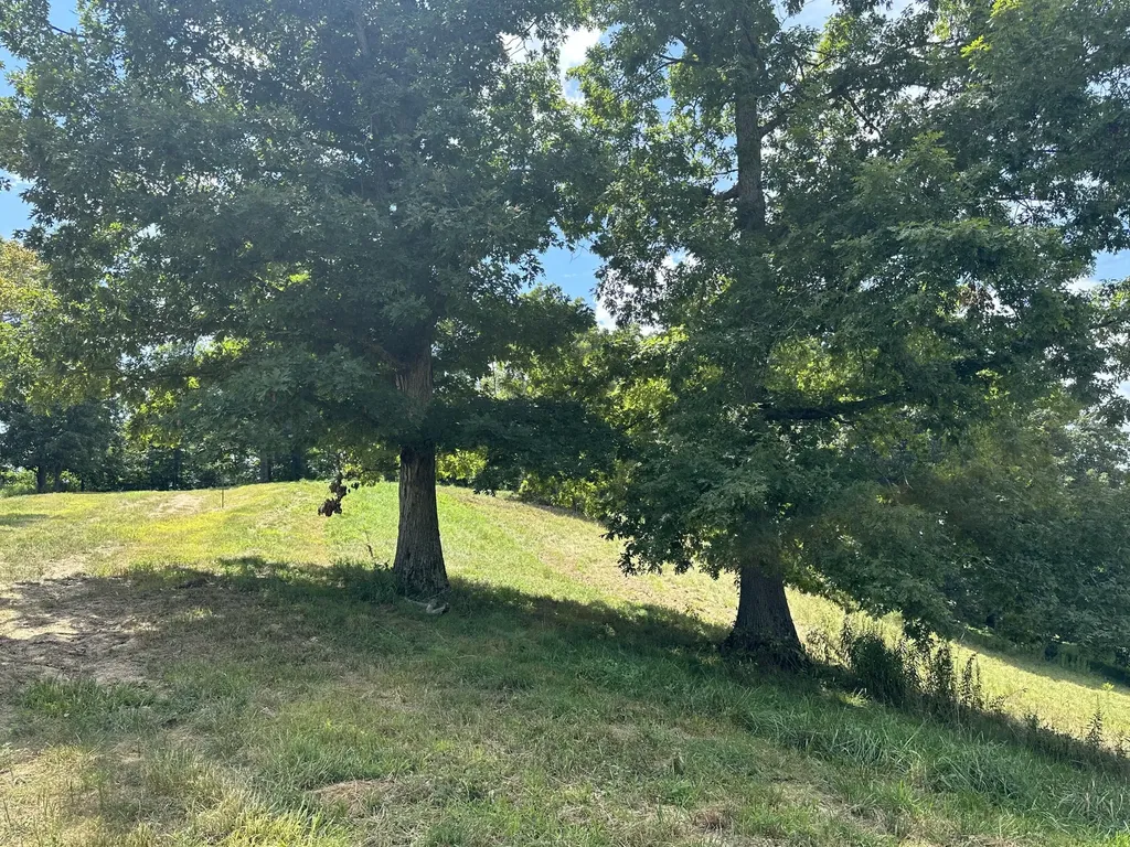 Tract 16 Pittsburg Landing Road London KY 40741