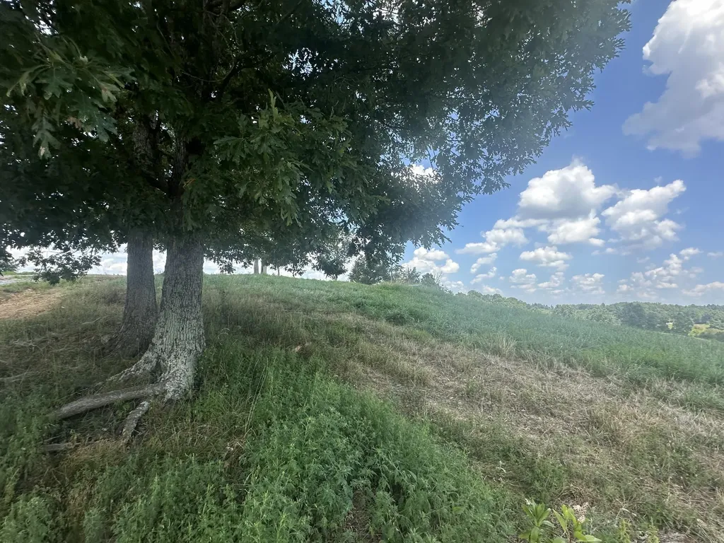 Tract 11 Eagle Landing Road London KY 40741